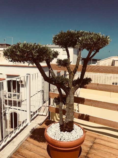 Appartement La Casa Al Borgo à Vieste Extérieur photo